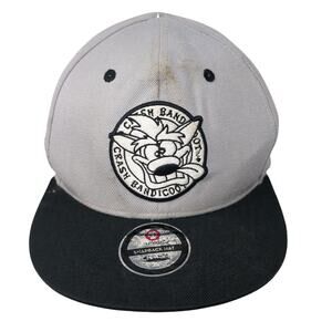 Crash Bandicoot Snapback Hat Gray One Size Adjustable Embroidered Num Skull